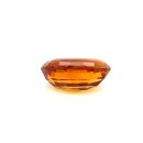 Edelstein Palm Citrin Ceylon Schliff 10,94 ct